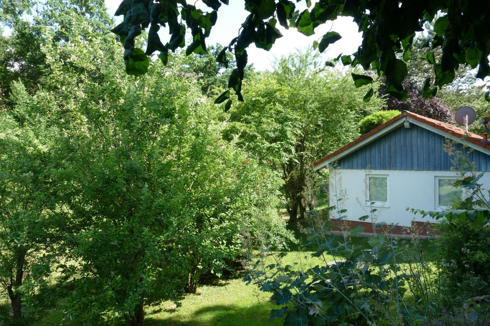 Landleben - Ferienhaus 2 Fritzlar Exteriör bild